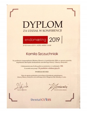 Dyplom_Endomeeting_2019_002.png